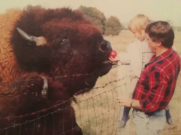 Mi padre solía llevarme a alimentar al búfalo en las afueras de la ciudad cuando era pequeño. Llamábamos a este tipo Big Daddy