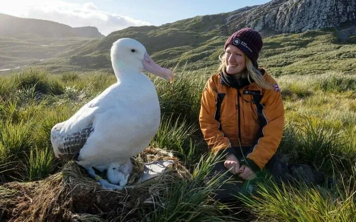 Un albatros errante. ¡Unidad Absoluta!