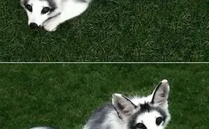 50 Times People Spotted Things In Very Unusual Colors And Just Had To Document It For Everyone To See