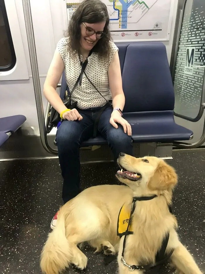 Mi buen chico y animal de servicio en entrenamiento, Nigel, disfrutando de su primer viaje de práctica en el metro