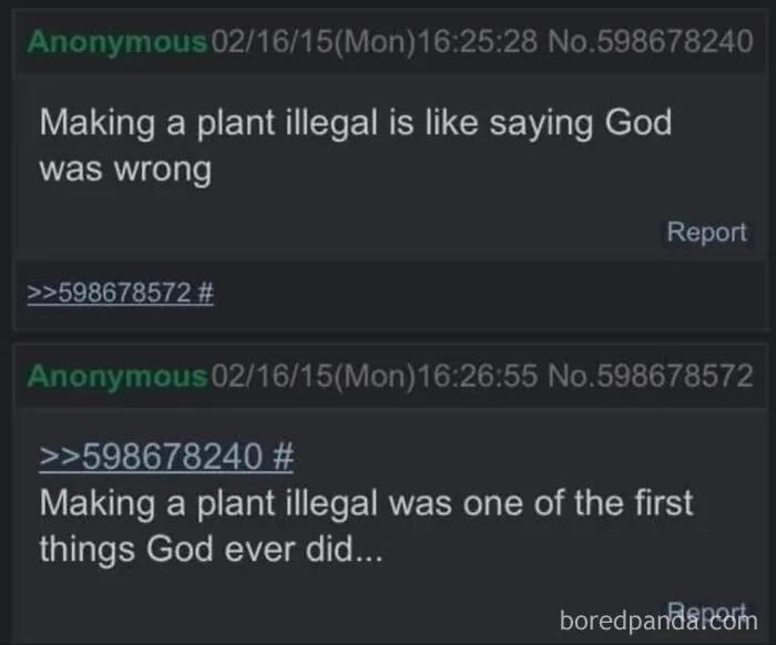 Illegal Plants