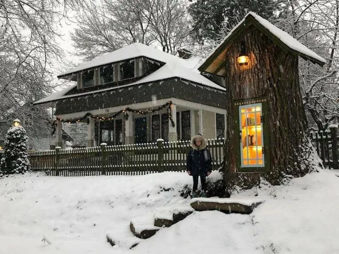 Árbol muerto transformado en una pequeña biblioteca gratis que parece de cuento de hadas