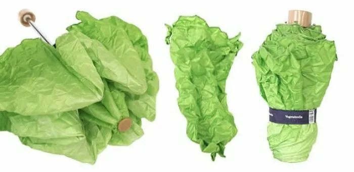 Un paraguas lechuga