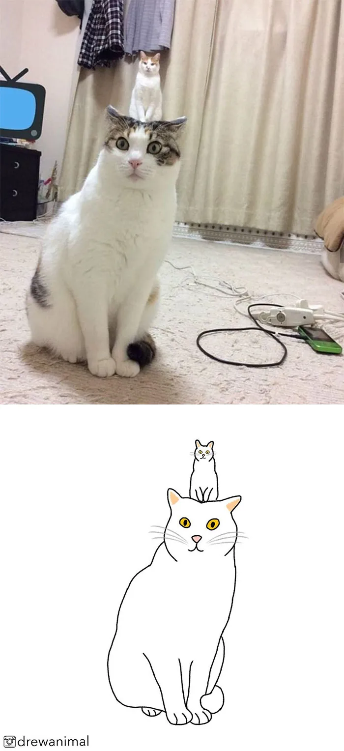 Artist Transforms Funny Cat Pics Into Illustrations And Here Are 70 Of The Best Ones