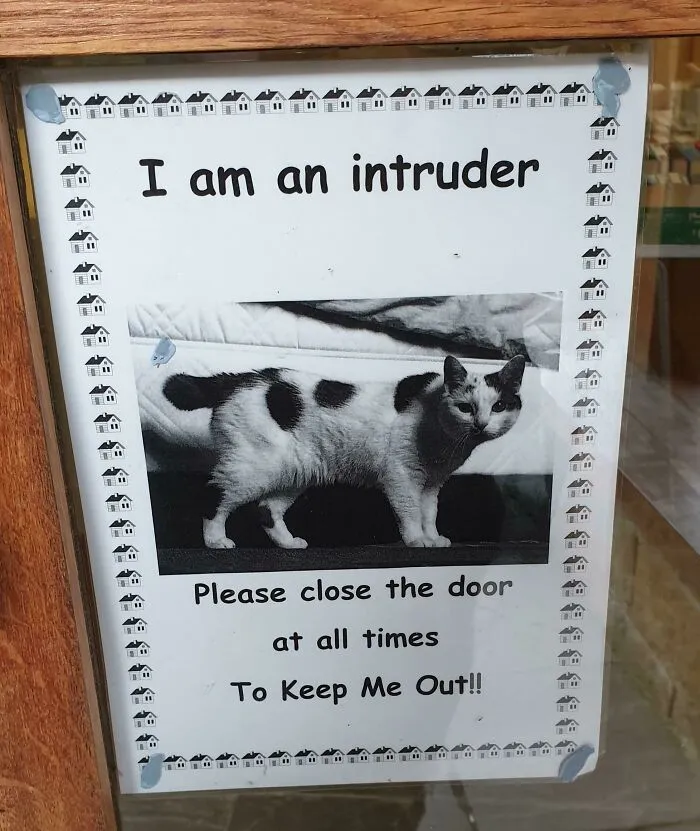 34 Times Cats Acted So Audacious That Their Owners Put Up A Sign To Warn Others About Their Ways