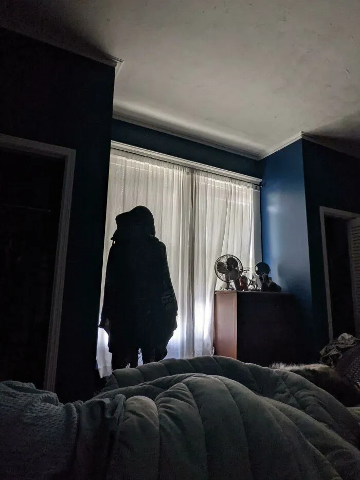 Woke Up And Discovered My Wife Moved Our Coat Stand Yesterday