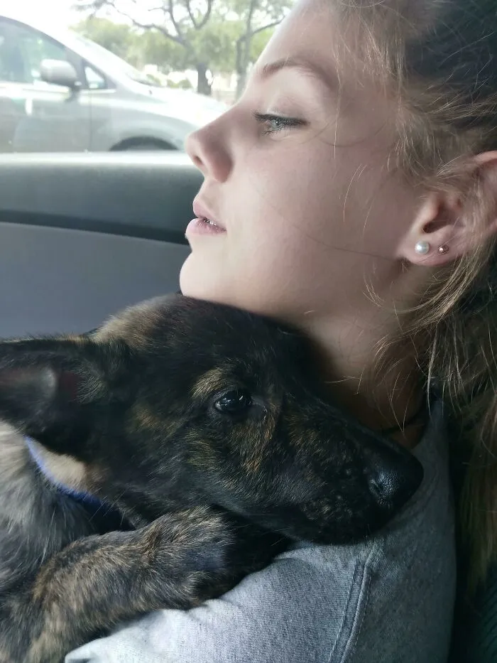 Mi hija tiene un corazón enorme para los perros y durante meses suplicó que adoptáramos otro. Incluso utilizó todo su dinero para contribuir a los honorarios. Aquí está con nuestro tercer cachorro rescatado, Daisy