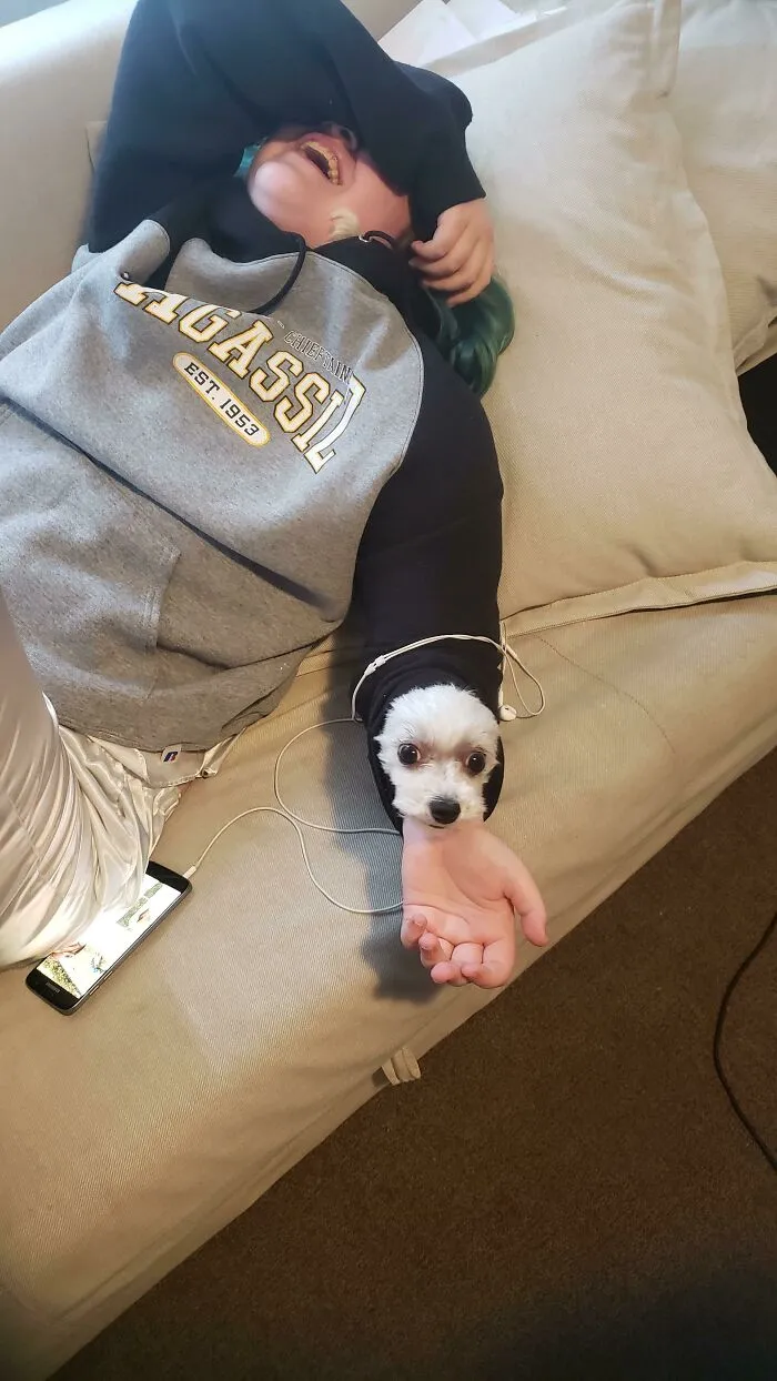 Entonces, Cassidy (mi hija) estaba acurrucando a Elsa (nuestro cachorro rescatado) debajo de su sudadera. Entré en la habitación y pregunté "¿Dónde está Elsa?" Bueno, Elsa intentó llegar a mí