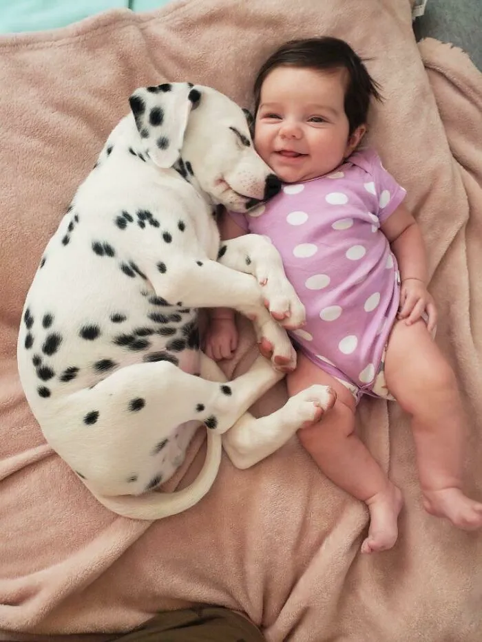 La hija de mi hermano y el nuevo cachorro ya son mejores amigos, incluso tienen atuendos a juego