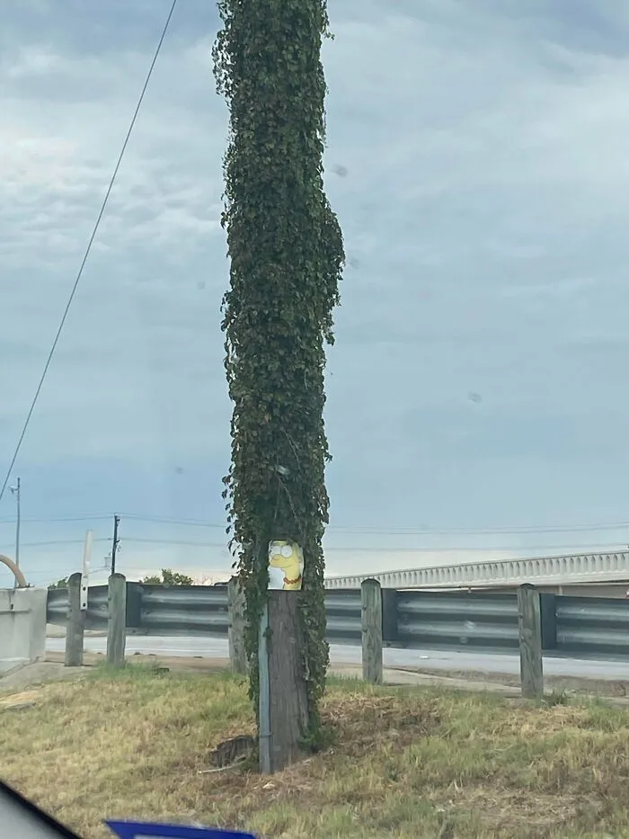 Este poste