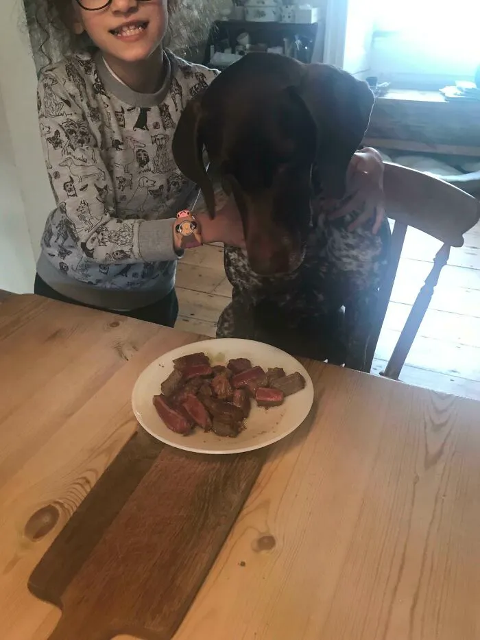 Es el cuarto cumpleaños de mi perro, mi hija gastó todo su dinero en comprarle un filete
