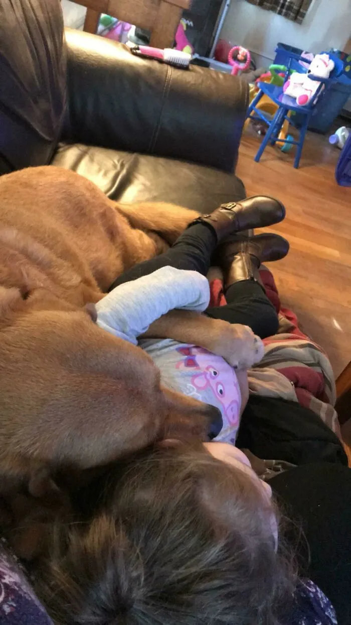 Mi perro cree que mi hija es su bebé. Se aman tanto. Así es como se durmieron ayer durante la siesta