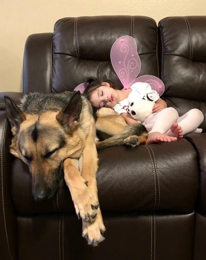 Ella es leal, protectora y tonta. Conoce la mejor amiga de mi hija