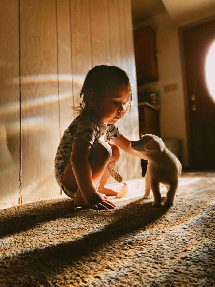 Mi hijo y su cachorro: no se cansan el uno del otro