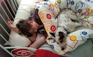 If You Don’t Think Your Kids Need A Dog After Seeing These Pics, You Must Be A Cat (New Pics)