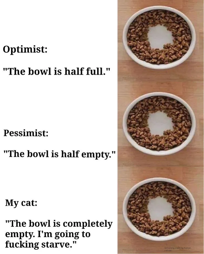 50 Funny Cat Jokes Created By People Clearly Living With One
