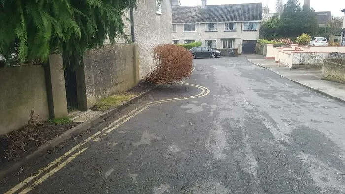 Ya he pintado las líneas, jefe