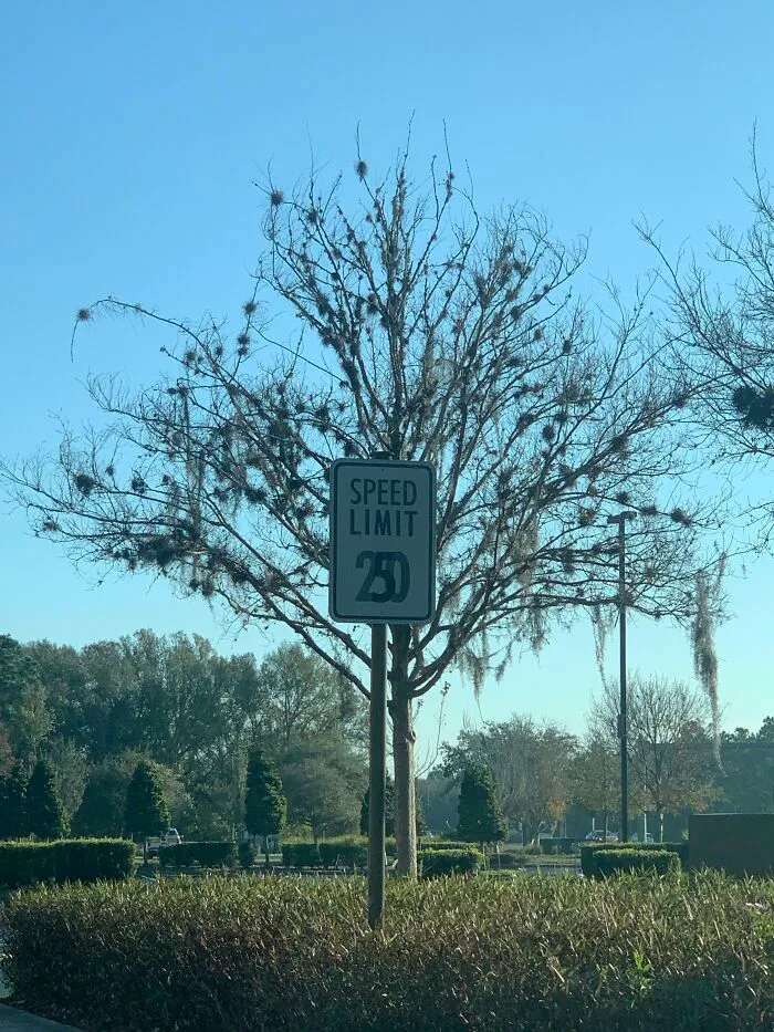 Changed The Speed Limit Sign Boss
