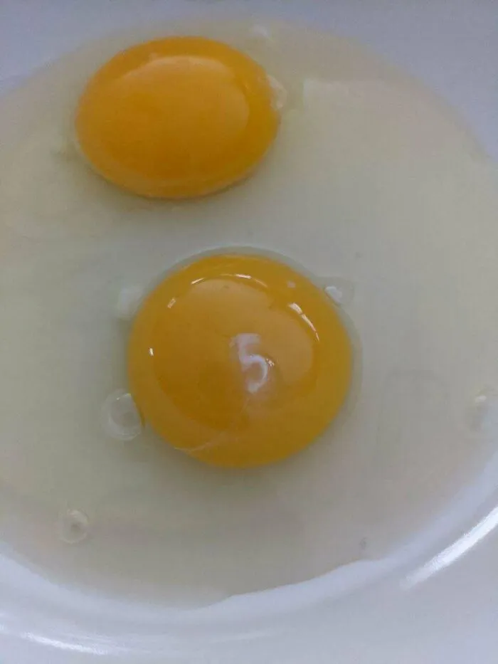 Mi huevo crudo tiene el número 5 en la yema