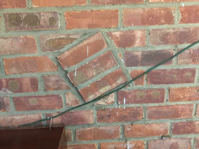 Quien sea que haya renovado nuestra casa, apesta