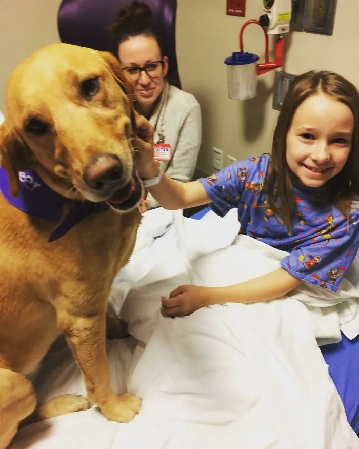 Nuestra hija fue visitada por Maddie, una perra de terapia, antes de su (exitosa) cirugía en el Hospital de Niños de Phoenix... Esta perra nos ayudó a todos más de lo que ella nunca sabrá... Ella no es una buena chica, es una gran chica