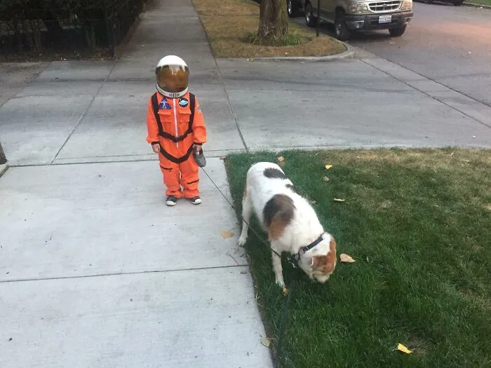 Este niño paseando a su perro en un traje de astronauta completo