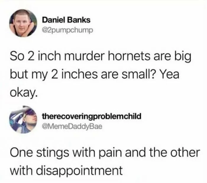 2 Inch Sting.