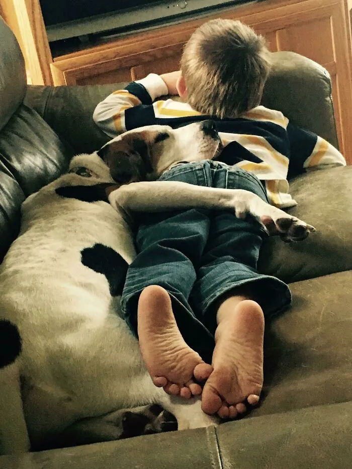Mi hijo tiene autismo y uno de sus rasgos únicos es su necesidad de contacto físico en todo momento. Barb entró en nuestras vidas y se eligió a sí mismo para el puesto de manta y guardaespaldas