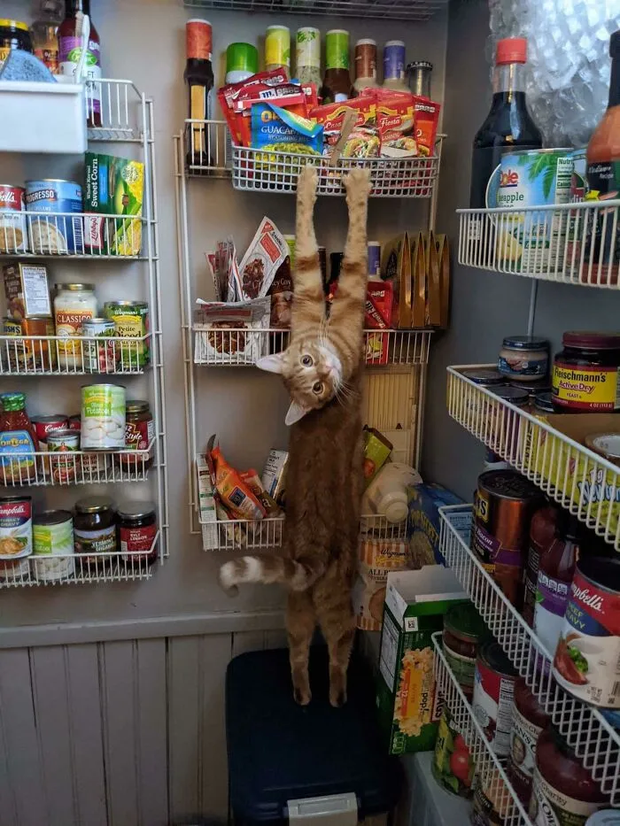 Busted