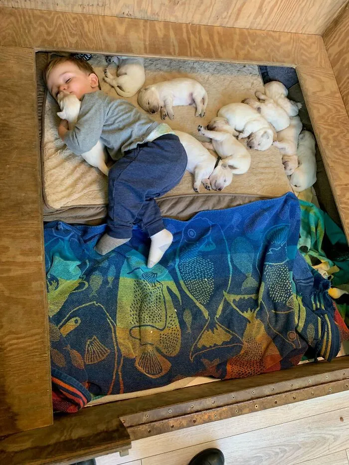 Mi bebé con mis cachorros