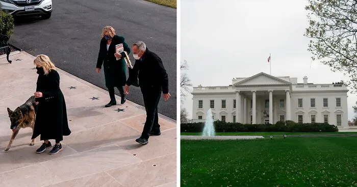 Biden’s Dogs Just Moved Into The White House And The Photos Are Just Precious (11 Pics)