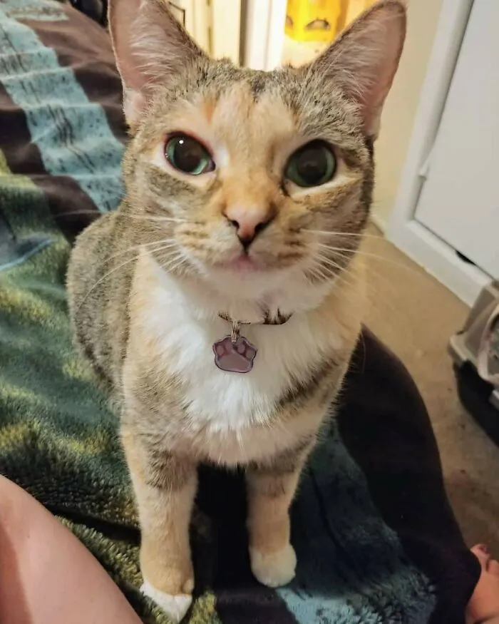 Do You Think She's Happy I Adopted Her?