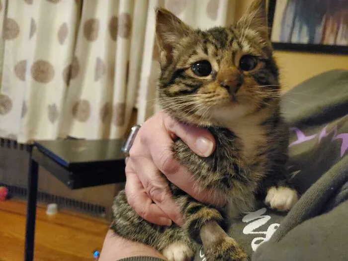 Heard Crying In Our Backyard Friday Night And We Found Her