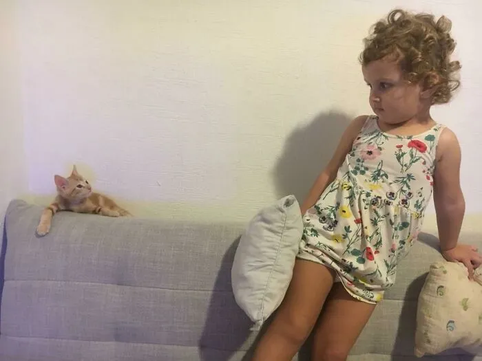 Just Adopted A Kitten And My Baby Girl Was Not Very Aware Of The New Member Of The Family. This Is When They Met