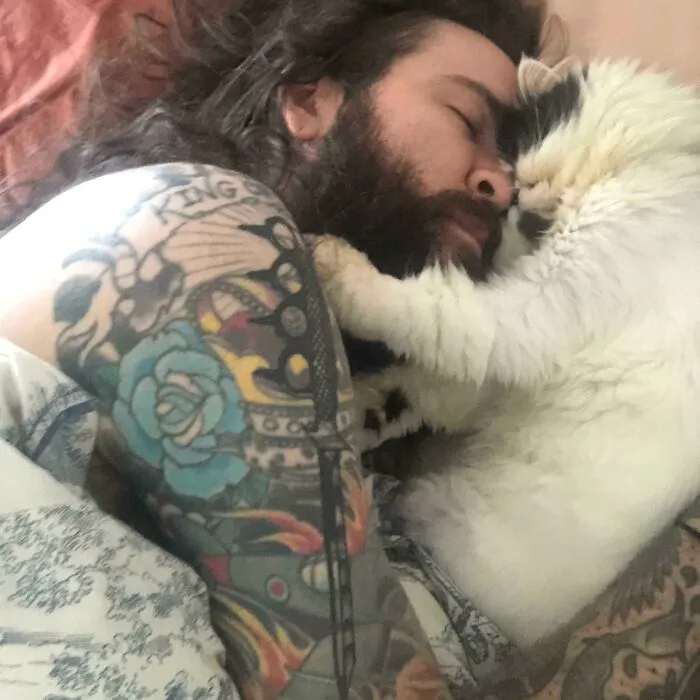 El gato de mi novia ha decidido que está obsesionado conmigo y ahora me despierto así cada mañana