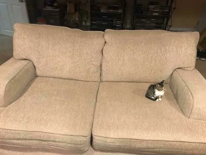 He’s Just Sitting There... Menacingly