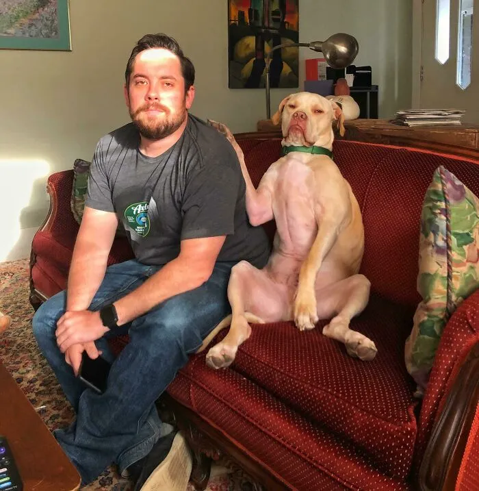 My Dog Showing My Girlfriend That I’m His