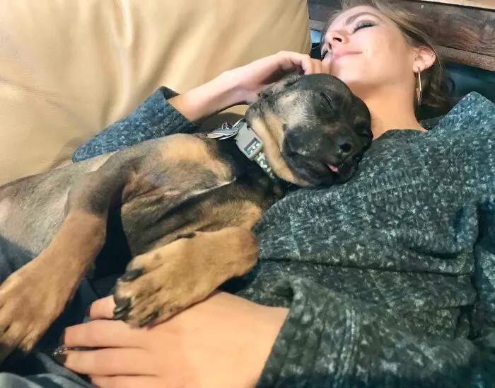 Little Boi Blep Stole My Girlfriend