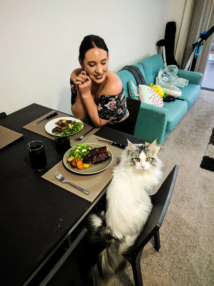 I Turn My Back For 2 Seconds And He's Trying To Steal My Girl And My Food