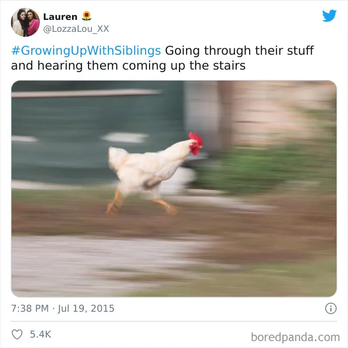 50 Hilarious Tweets That Sum Up What It’s Like Having A Sibling