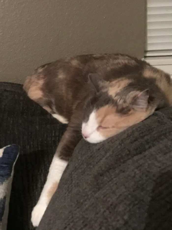 😴