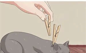 People Are Taking WikiHow Images Out Of Context And Adding Their Own Funny And Dark Captions (50 New Pics)