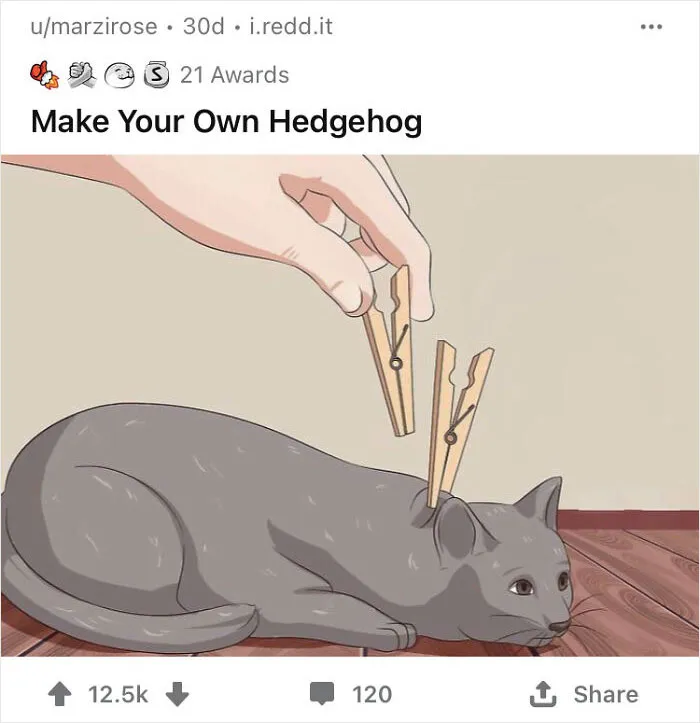 Alternate-Fake-Captions-Out-Of-Context-Wikihow-Pics