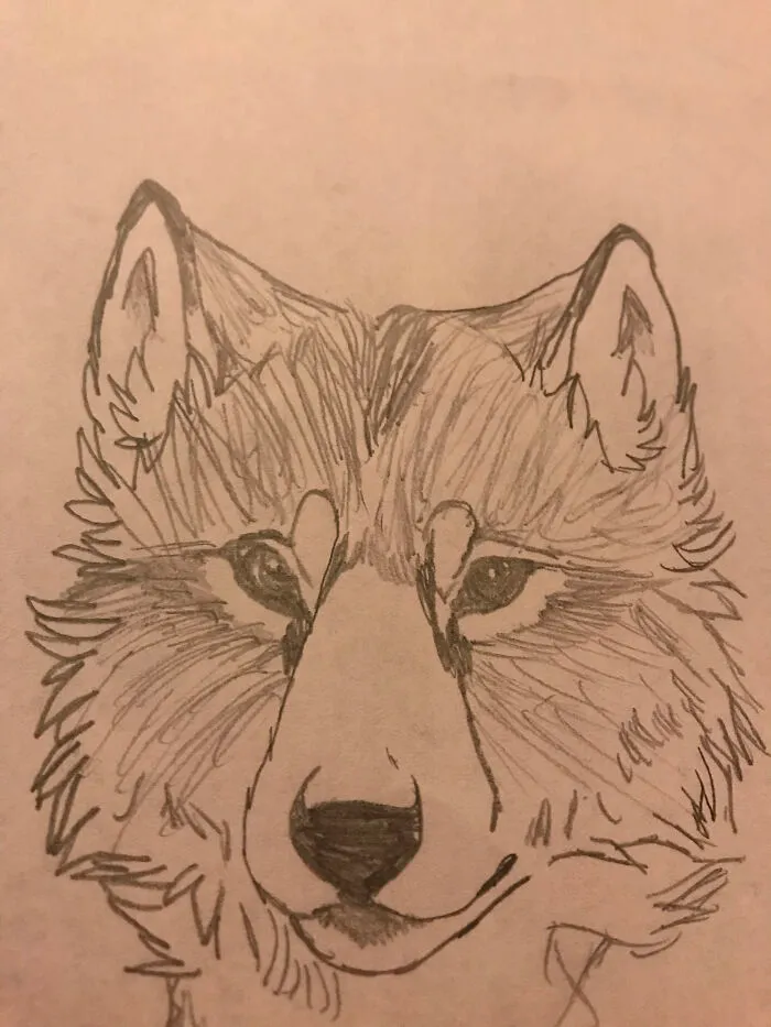 I Love This...wolf/Dog?