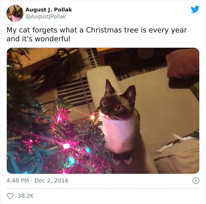 Wonderful!
