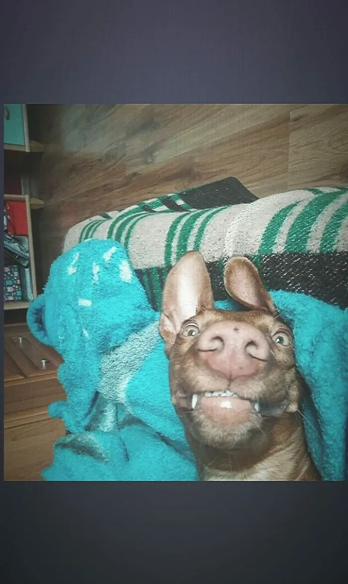 Just Be Like Vee, Be Yourself-No Matter What