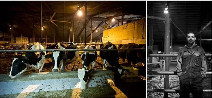 Dan, Dairy Farmer, Cressridge Farms
