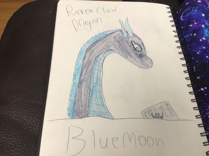 I Love Dragons (And Reading That’s Why The Dragon Has A Book) Also I Was Drawing Hog Warts Houses As Wings Of Fire Dragons So That’s Why It Says Ravenclaw