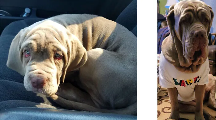 She Grew So Much