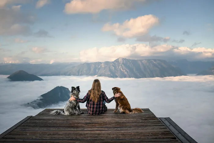 I Want To Show That Adopted Dogs Are Beautiful So I Captured These 30 Photos